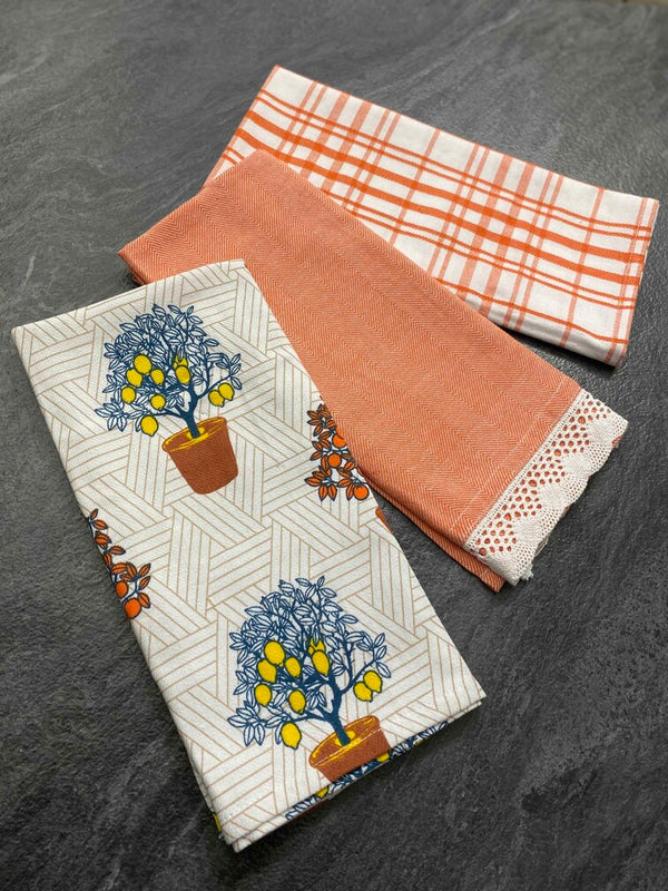 Set 3 pezzi strofinacci cotone in tinto filo